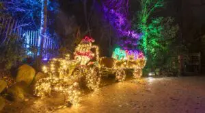 The picture shows the Christmas Garden at the Hannover Adventure Zoo. A Santa Claus drives a tractor with many lights. Colorful presents are on the trailer. The trees are glowing in many colors.
