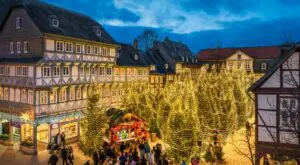 Das Bild zeigt einen Weihnachtsmarkt in Celle. Viele Tannenbäume stehen auf dem Platz. Die Bäume leuchten mit vielen kleinen Lichtern. Die Häuser um den Platz sind aus Fachwerk gebaut.