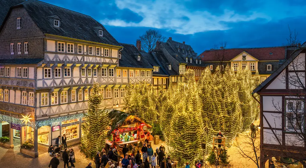Das Bild zeigt einen Weihnachtsmarkt in Celle. Viele Tannenbäume stehen auf dem Platz. Die Bäume leuchten mit vielen kleinen Lichtern. Die Häuser um den Platz sind aus Fachwerk gebaut.